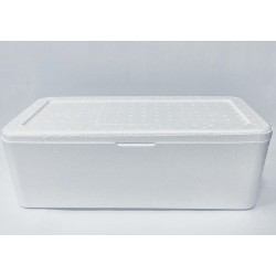 EPS Thermo Box 10 kg